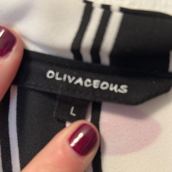 Olivaceous Black and White Vertical Striped Sleeveless V Neck Blouse Size Large - Picture 2 of 5